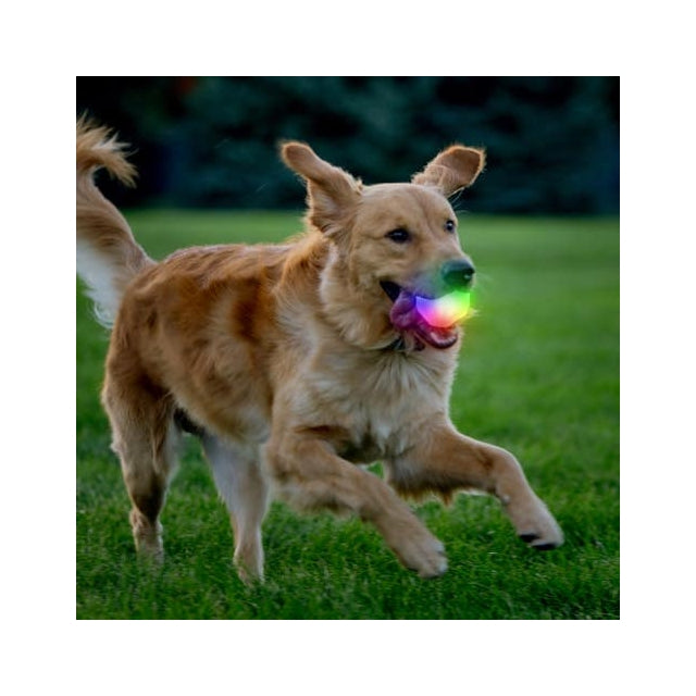 Nite Ize Glowstreak Wild Led Ball - Disc-o