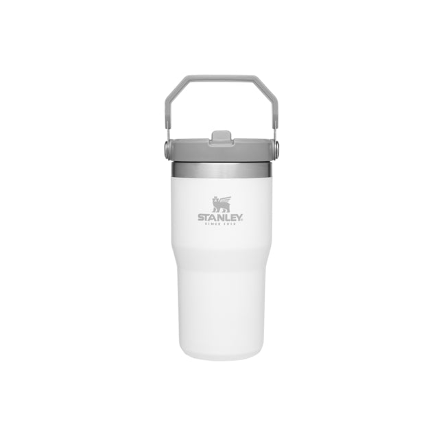 Stanley Stan 20oz Classic Flip Straw Tumbler Polar