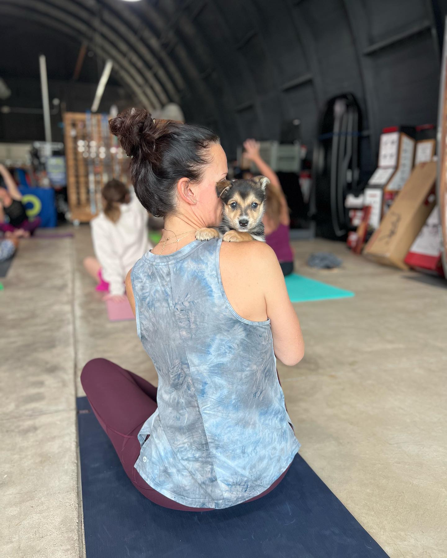 SOKO Outfitters Puppy Yoga w/Homeward Bownd 8.17.25