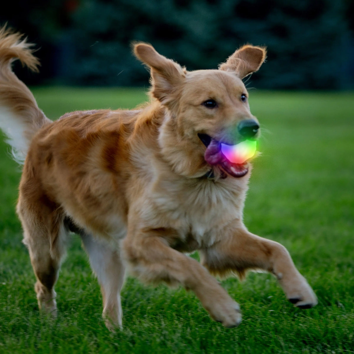 Nite Ize Glowstreak Wild Led Ball