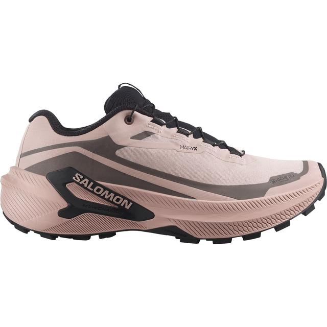 Salomon Sal W Genesis 2 Gtx Shadow Gray/Iron