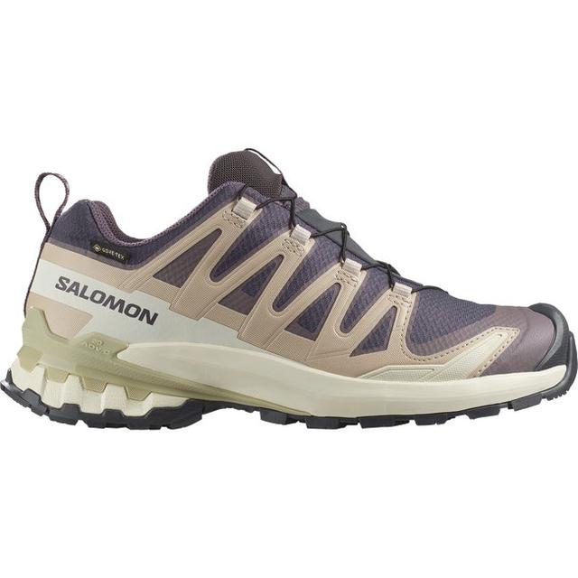 Salomon Womens XA Pro 3D V9 GTX Iron/Oxford/A