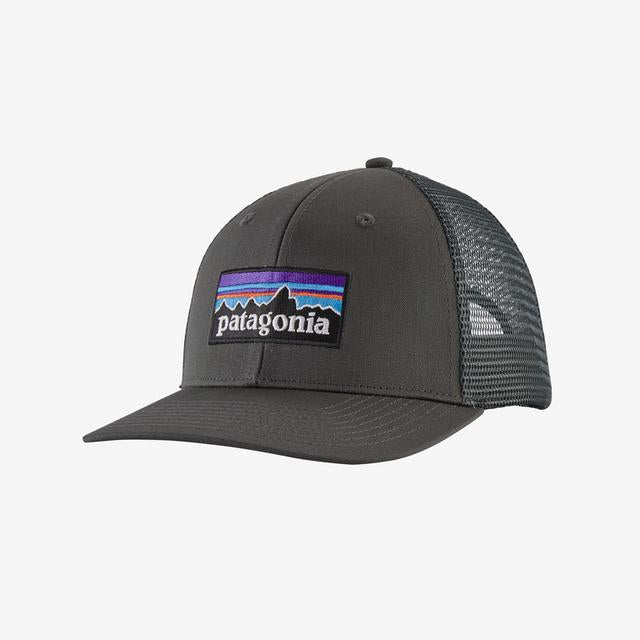 Patagonia P-6 Logo Trucker Hat lynx tan